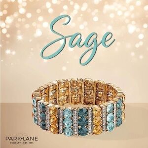 💚Brand New Park Lane Sage Bracelet💚